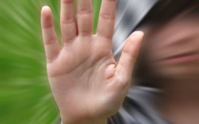 IX Curso Prevención Acoso Escolar en Madrid (Enero)