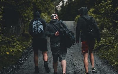 Cuento: «Unidos somos invencibles»