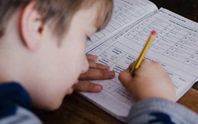 AEPAE incluye en su página web un test de incidencia