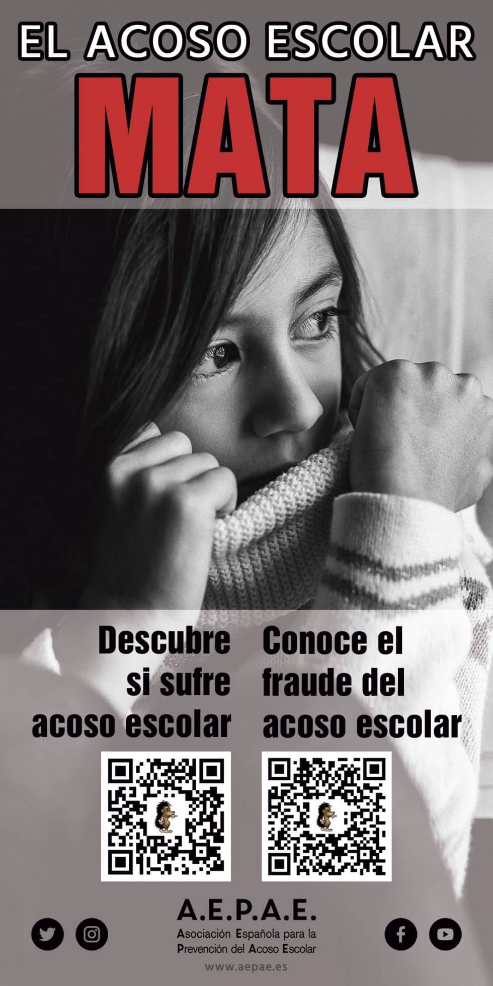 Campaña de AEPAE «El acoso escolar mata» - AEPAE
