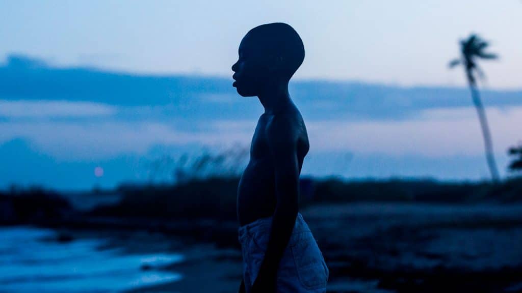 AEPAE - Cine sobre acoso escolar: «Moonlight» (2016)